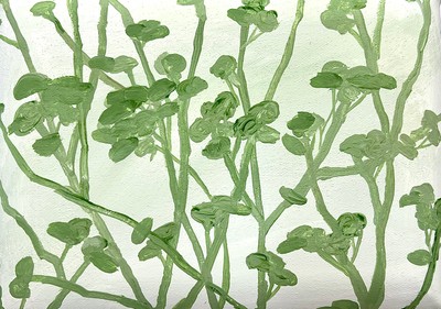 PUL RIM, 처음의 초록