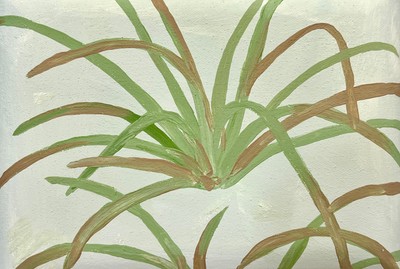 PUL RIM, 조용히 자라나는 것들