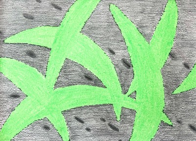 PUL RIM, 아늑한 산들 빛 :풀비