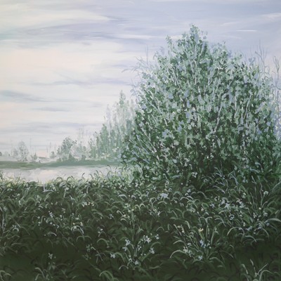 PUL RIM-Reconstruction series : Water forest