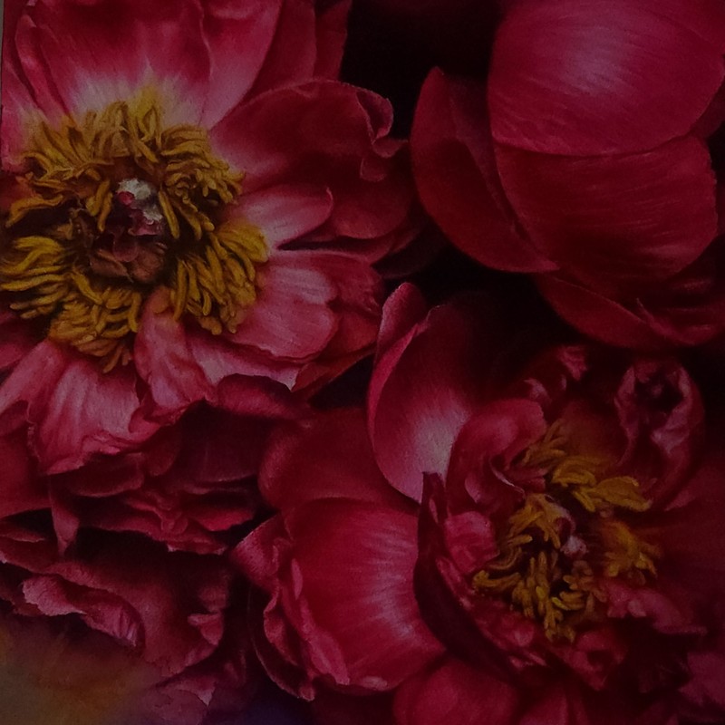 Magenta21-행복 Watercolor 수채화