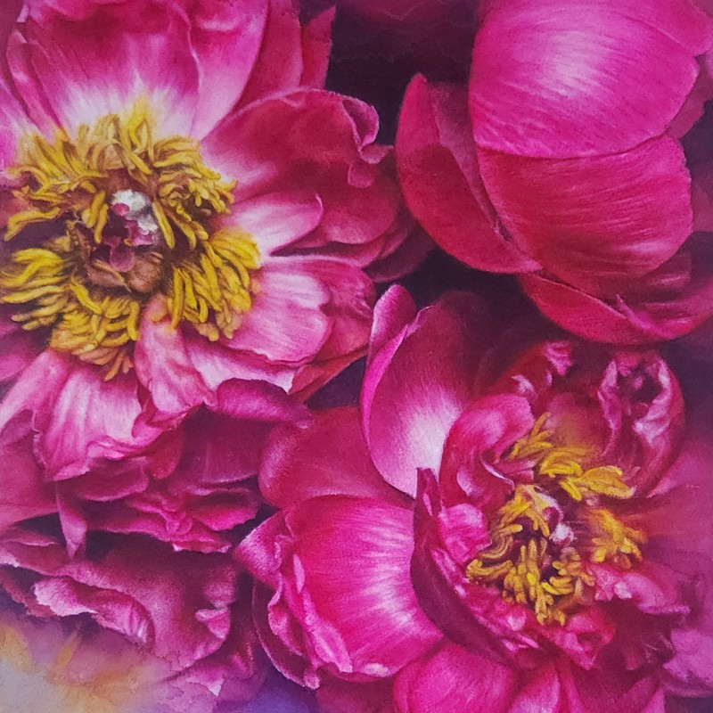 Magenta21-행복 Watercolor 수채화