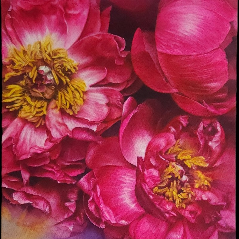 Magenta21-행복 Watercolor 수채화