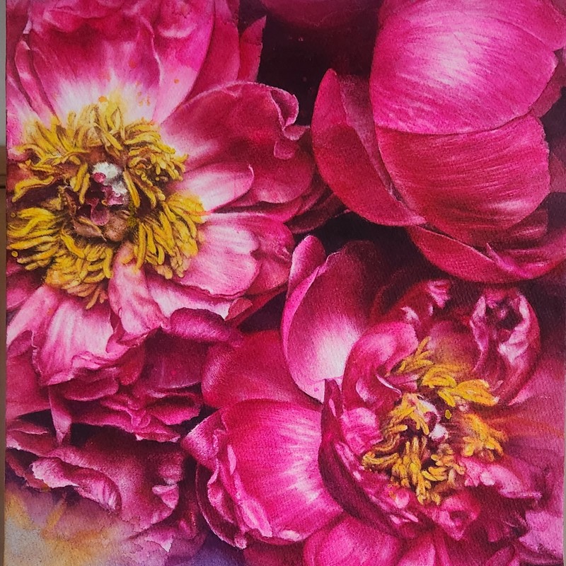 Magenta21-행복 Watercolor 수채화