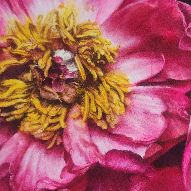 Magenta21-행복 Watercolor 수채화