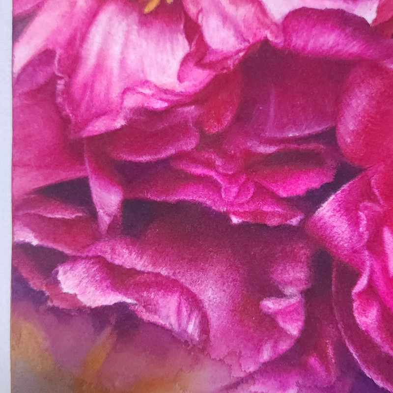 Magenta21-행복 Watercolor 수채화