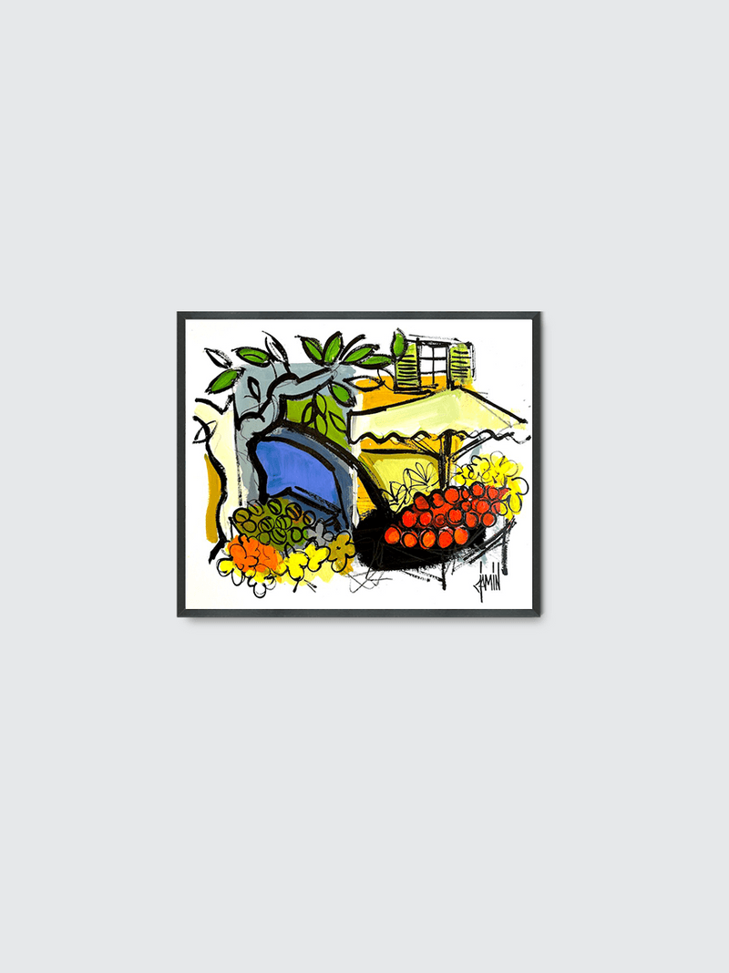David Jamin -Uzès – le beau marché place aux herbes