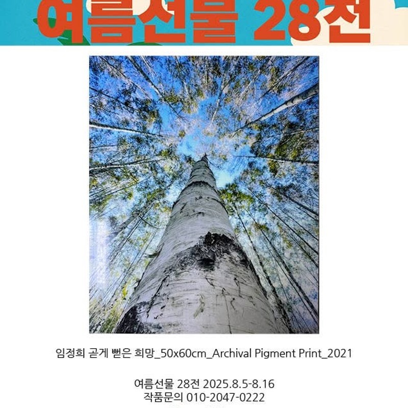 여름 선물 28전