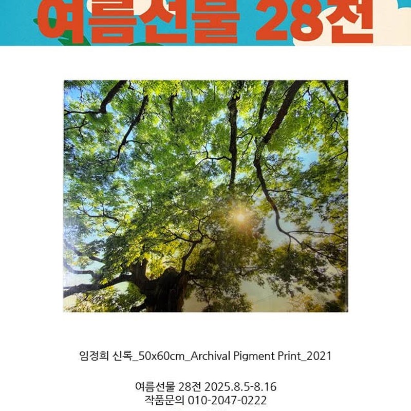 여름 선물 28전