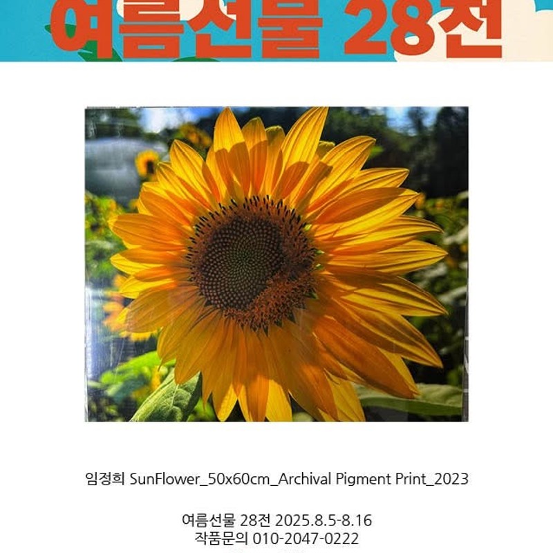 여름 선물 28전