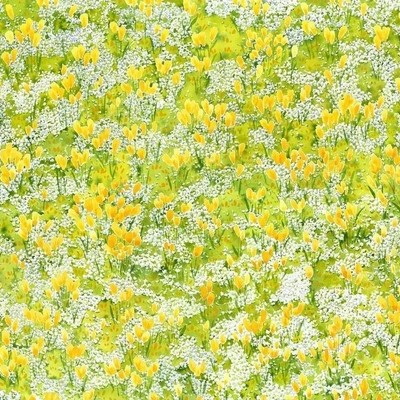 김소라-Wildflowers garden _yellow