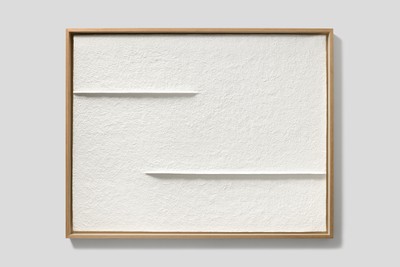 Polar(극지)-29-1180-20251