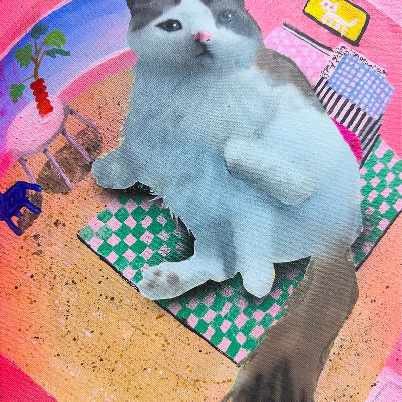 tkdduqxxcc
