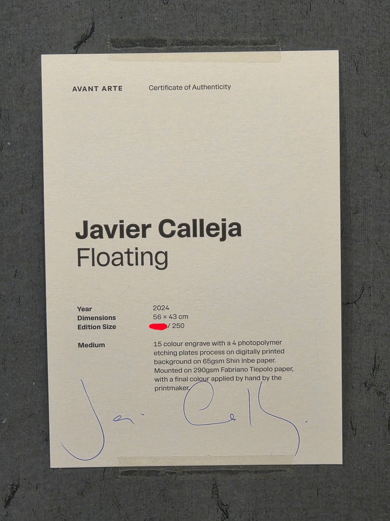 하비에르 카예하 Javier Calleja -Floating