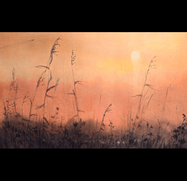 Lee gwan-su  李官洙