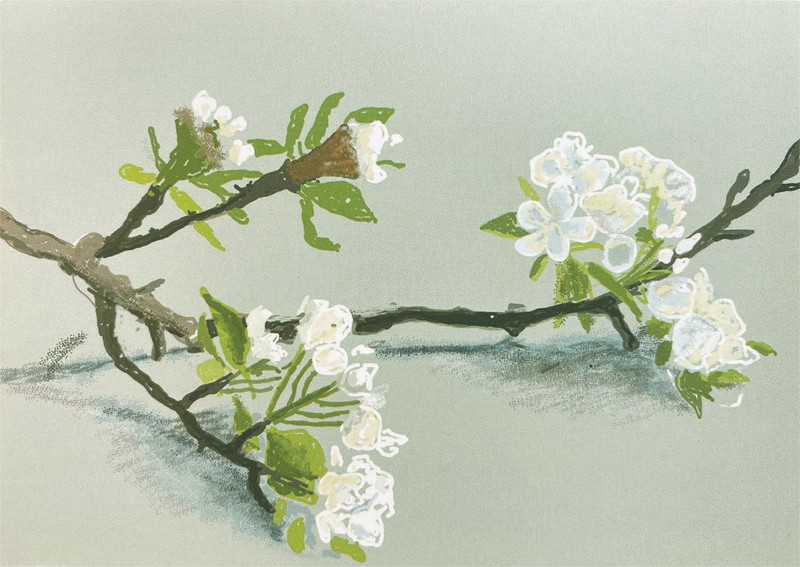 데이비드 호크니-The Arrival of Spring no. 149