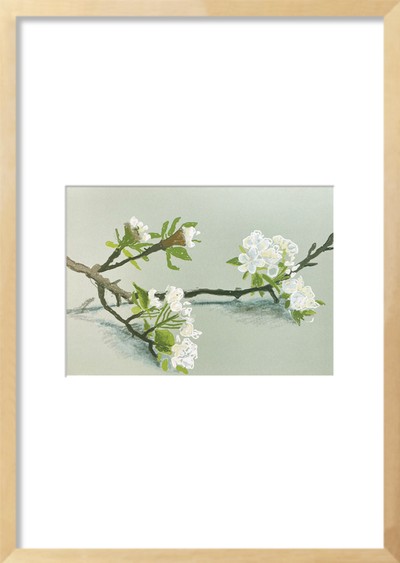 데이비드 호크니-The Arrival of Spring no. 149