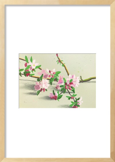 데이비드 호크니-The Arrival of Spring no. 214