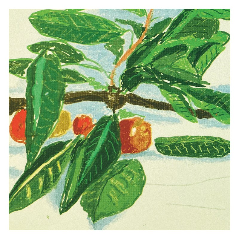 데이비드 호크니-The Arrival of Spring no. 348