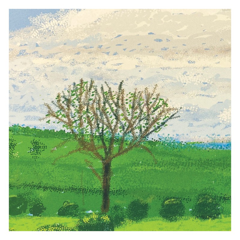 데이비드 호크니-The Arrival of Spring no. 168