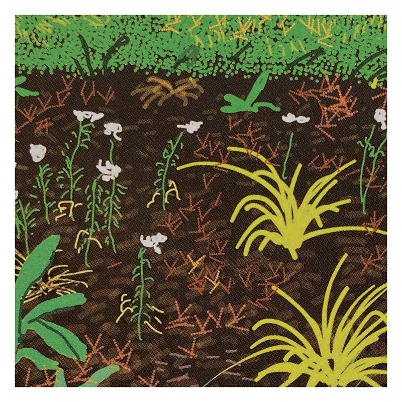 데이비드 호크니-The Arrival of Spring no. 186