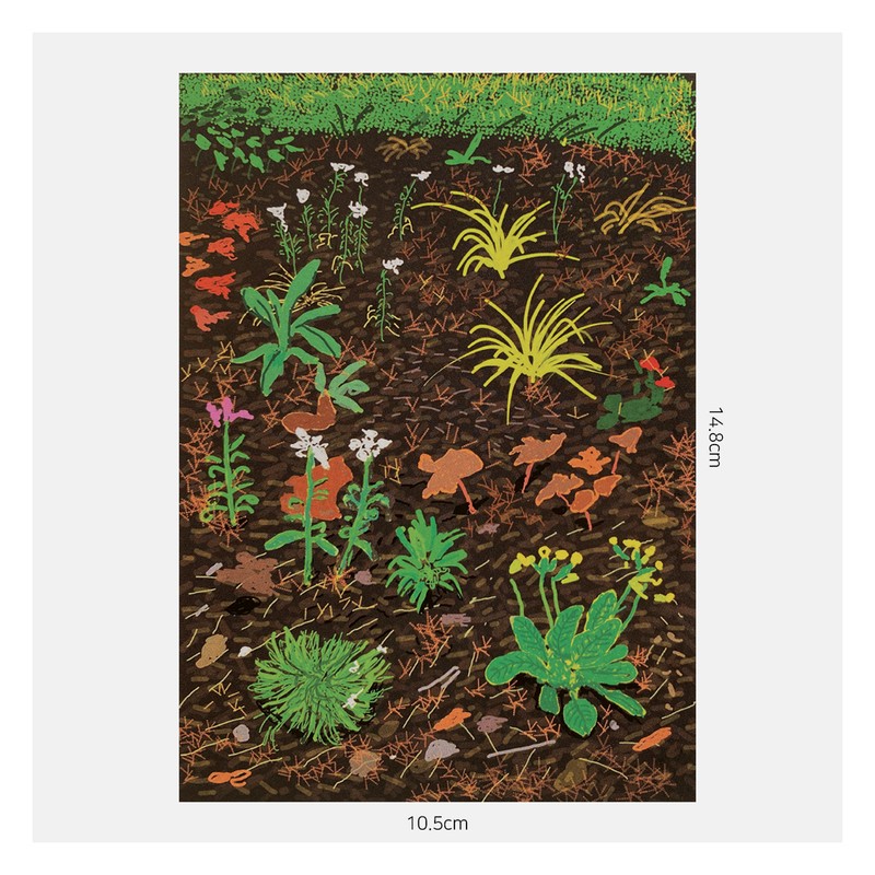데이비드 호크니-The Arrival of Spring no. 186