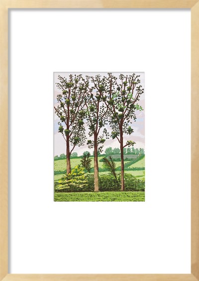 데이비드 호크니-The Arrival of Spring no. 299