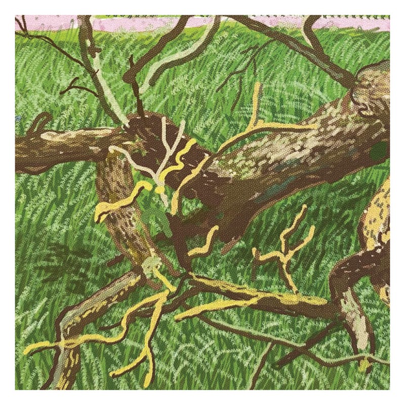 데이비드 호크니-The Arrival of Spring no. 323