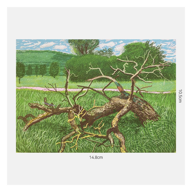 데이비드 호크니-The Arrival of Spring no. 323