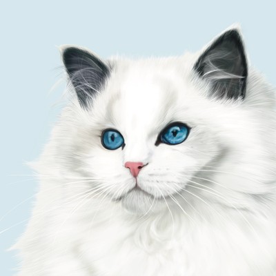 홍지선-Blue Ocean
